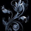 Рин Ганджи фотография #1