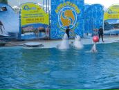 Дарія Василевська фотография #42 (источник - https://vk.com/id10233208)