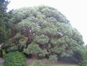 Дарія Василевська фотография #29 (источник - https://vk.com/id10233208)