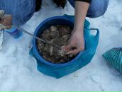 Сергій Гальва фотография #19 (источник - https://vk.com/id67728528)