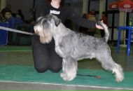 Фотография Легостиной Юлии