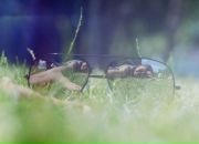 Галка Медалье фотография #15 (источник - https://vk.com/id302008)