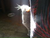 Фотография Ивановой Надежды