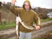 Фотография Аргунова Игоря