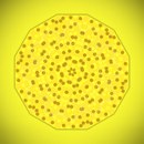 Ельвіра Ковач фотография #26 (источник - https://vk.com/id165455296)