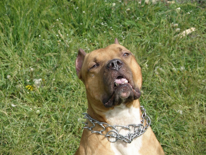 Игорь Асейкин фотография #12