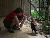 Фотография Кнутова Николки