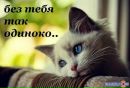 Фотография Инея Эмриса-Александра