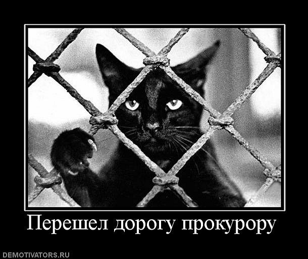Женя Давиденко фотография #32