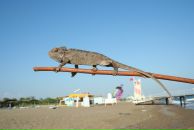 Руслан Рыжков фотография #45 (источник - https://vk.com/id8325167)