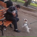 Степан Ілик фотография #48 (источник - https://vk.com/id9334564)