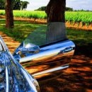 Александр Maloy:) фотография #42 (источник - https://vk.com/id99013950)