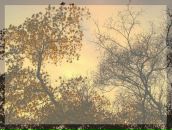 Фотография Сапожниковой Юлии