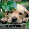 Крістіліна Лис фотография #42 (источник - https://vk.com/id134836210)