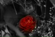 Діма Куріч фотография #3 (источник - https://vk.com/id82780982)