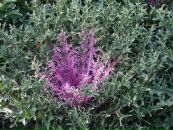 Дмитрий Иванов фотография #23 (источник - https://vk.com/id850084)