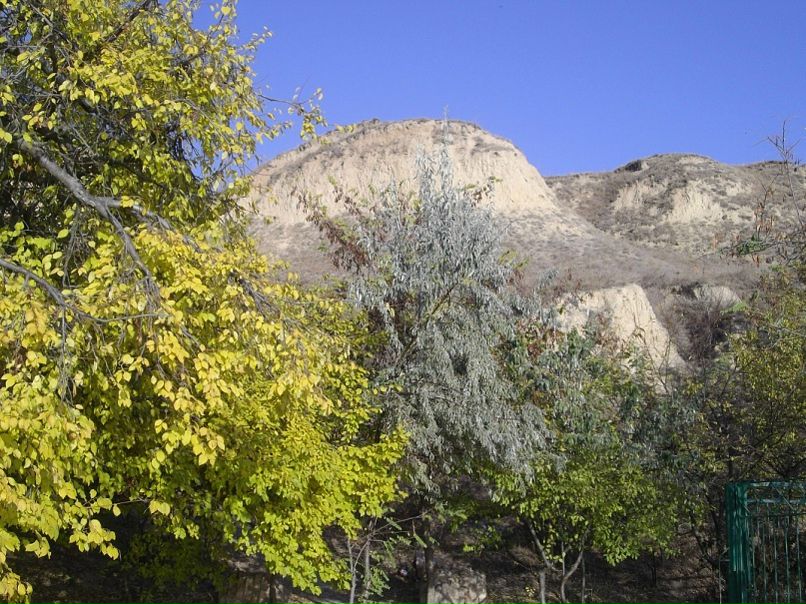 Майя Семенчук фото №10