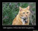 Віталік Скопик фотография #37 (источник - https://vk.com/id27872894)