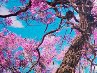 Марія Мушак фотография #34 (источник - https://vk.com/id140552091)