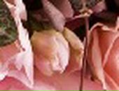 Аня Хасанова фотография #10 (источник - https://vk.com/id231013)