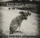 Фотография Маштаков Дмитрий