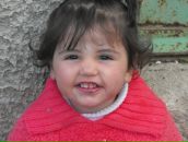 Arar Rezmak фотография #18 (источник - https://vk.com/id19674274)