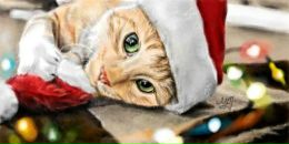 Фотография Мурчеллини Мурчеллы