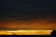 Фотография Орлова Василия