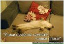 Юлічка Гнатюк фотография #14 (источник - https://vk.com/id77794608)