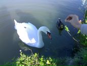 Фотография Васильевой Екатерины