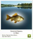Віктор Камлук фотография #21 (источник - https://vk.com/id162080953)