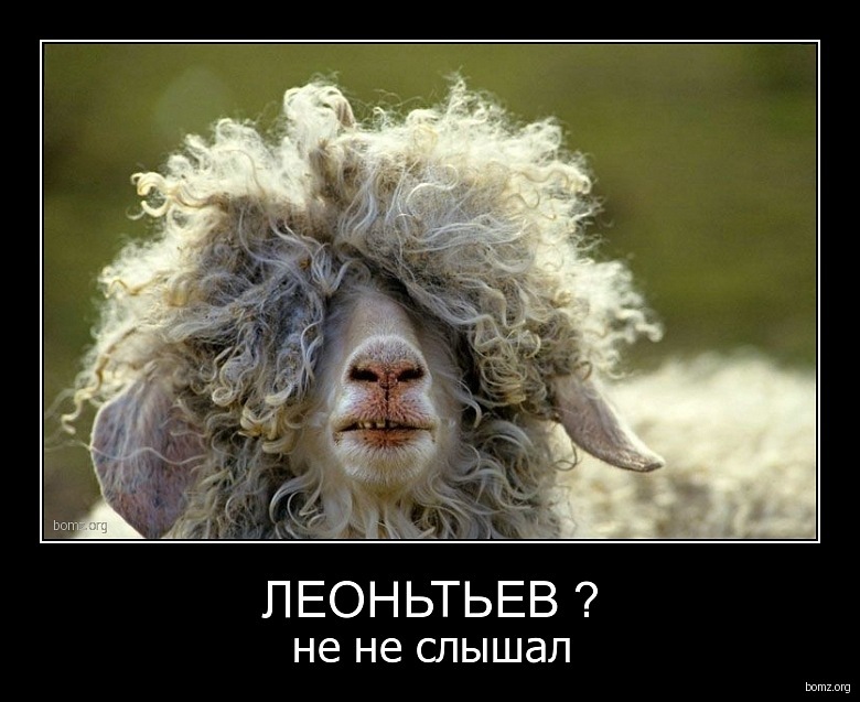 Иван Демченко фотография #17