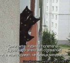 Фотография Хоменко Лилии