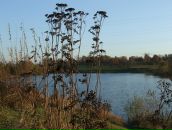 Рю Мураками фотография #20 (источник - https://vk.com/id2067589)