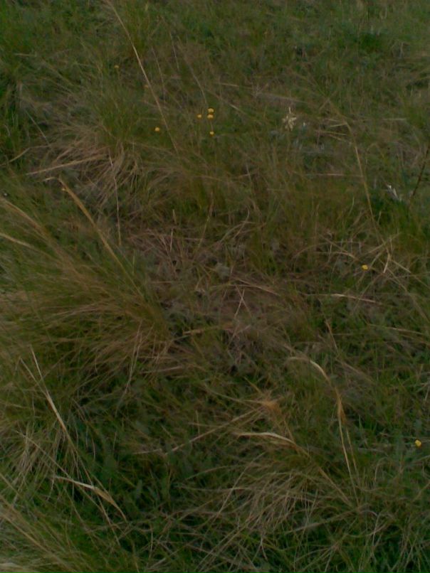 Рустем Валеев фотография #28