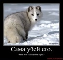 Вітя Салюк фотография #6 (источник - https://vk.com/id97726415)