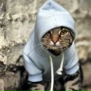 Фотография Радченко Николая