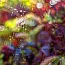 Фотография Рыжанковой Вероники