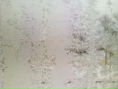 Андрей Камаев фотография #2 (источник - https://vk.com/id2346810)