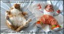 Інна Стахова фотография #46 (источник - https://vk.com/id105707968)