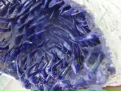 Наталія Куберська фотография #32 (источник - https://vk.com/id25056959)