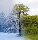 Plusha Кислая фотография #21 (источник - https://vk.com/id3554272)