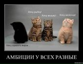 Фотография Белясника Дмитрия