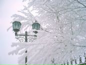 Принцесса Нюша фотография #8 (источник - https://vk.com/id42963)