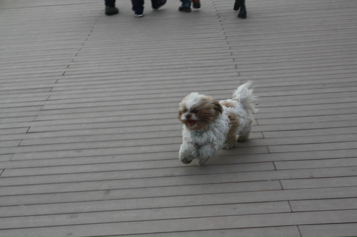 Дина Нечаева фотография #27