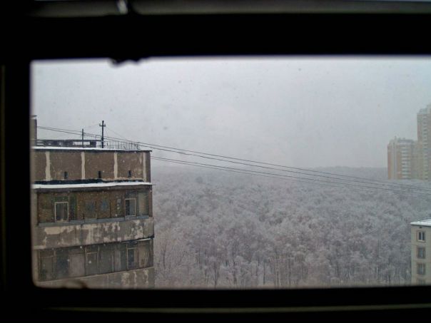 Росетка Росеткин фото №31
