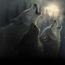Андрій Нагорний фотография #41 (источник - https://vk.com/id163825917)
