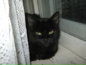 Фотография Малаховой Анастасии