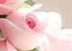 Вася Іванський фотография #25 (источник - https://vk.com/id134791389)