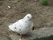 Κсения Μоисеева фотография #2 (источник - https://vk.com/id161852677)